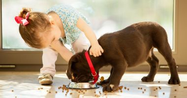DailyNK - Un nou coronavirus se poate răspândi de la câini la oameni