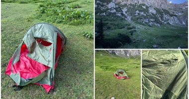 Stire din Eveniment : Un câine și-a salvat familia aflată în vacanță la munte. A alungat ursul care dădea târcoale cortului