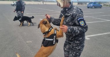 Peste 250 de polițiști, 160 de autospeciale, 10 aparate radare și echipaje canine, toate pentru asigurarea liniștii și ordinii publice de 1Mai - 2