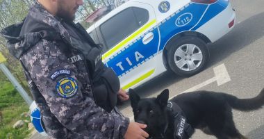 Peste 250 de polițiști, 160 de autospeciale, 10 aparate radare și echipaje canine, toate pentru asigurarea liniștii și ordinii publice de 1Mai - 3