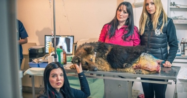 CRUZIME GREU DE IMAGINAT! A VIOLAT UN CÂINE, NU ÎNAINTE DE A-I RUPE COADA ȘI DE A-I SMULGE UN PICIOR - 4