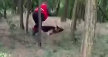 Câţi ani de închisoare riscă bărbatul filmat când lovea un câine