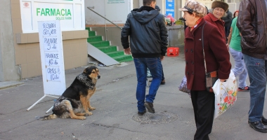 Stire din Politică-Administrație : CÂT COSTĂ SĂRĂCIA ÎN CONSTANȚA? 100 milioane lei pentru un oraș de asistați social