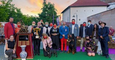 Sute de câini au defilat la Dracula Dog Show