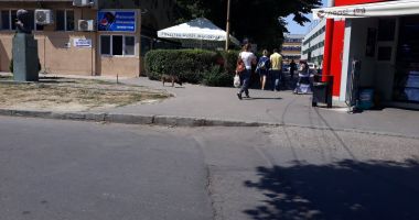 Terorizați de maidanezi! "În situații neprevăzute, nu poți ști ce-i în capul unui câine" - 2