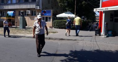 Terorizați de maidanezi! "În situații neprevăzute, nu poți ști ce-i în capul unui câine" - 4