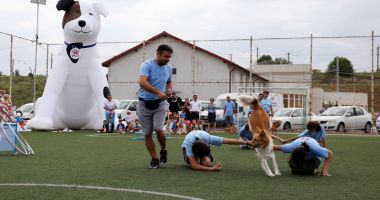 Problema câinilor maidanezi, rezolvată cu umanitate, la Agigea - 2