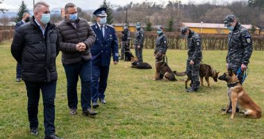 Stire din Eveniment : Câinii polițiști, antrenați să miroasă COVID-19!