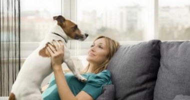 Stire din Social : Regulament/ Câți câini pot locui într-un apartament din Năvodari