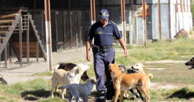 Stire din Eveniment : Câini-polițiști,  scoși la vânzare de Garda de Coastă