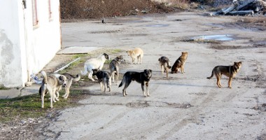 Lista neagră a Constanței - 2