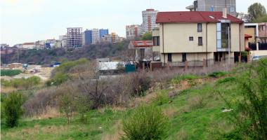Constănțeni în pericol! Amenințați de colții maidanezilor - 3