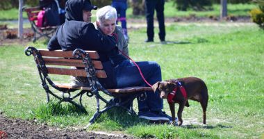 Mizerie și lipsă de educație! Constanța,  plajele, parcurile - pline de rahați de câine - 3