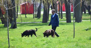 Stire din Social : Mizerie și lipsă de educație! Constanța,  plajele, parcurile - pline de rahați de câine