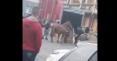 Stire din Eveniment : Incident revoltător: Cal bătut la parada junilor din Brașov