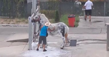 Stire din Actualitate : Un bărbat riscă pedeapsa cu închisoarea, după ce și-a spălat calul la o spălătorie auto