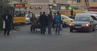 VIDEO / Cruzime fără margini! Un căruțaș beat și-a snopit calul în bătaie, după un accident provocat în sensul giratoriu - 2