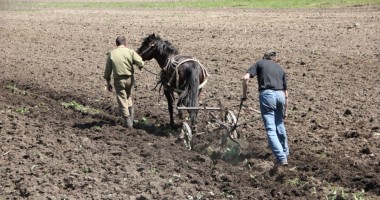 Stire din Economie : Buletin agrometeorologic. Deficit de apă în sol, în Dobrogea