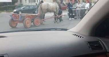 VIDEO / Cruzime fără margini! Un căruțaș beat și-a snopit calul în bătaie, după un accident provocat în sensul giratoriu - 3