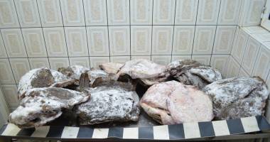 Stire din Eveniment : Captură impresionantă de pește! Zeci de kilograme de calcan, confiscate de polițiști
