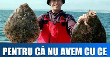 Stire din Economie : REVOLTĂTOR. BULGARII ne iau calcanul de sub nas