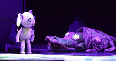 Stire din Cultură-Educație : Spectacolele săptămânii, la Teatrul  pentru Copii și Tineret "Căluțul de mare"