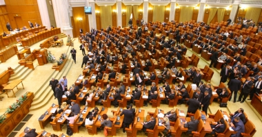 Stire din Politică-Administrație : Decizie în Comisia juridică pe tema animalelor de la circ. Proiectul, trimis la Camera Deputaților