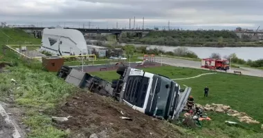 Stire din Eveniment : Camion plin cu oi răsturnat la Năvodari. Peste 150 de animale au murit în accident