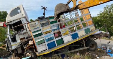 Camion plin cu stupi de albine, spulberat de un tren cu doi călători