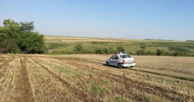 Copil abandonat pe câmp. Poliția cere ajutorul populației pentru a găsi părinții