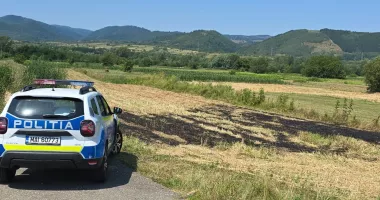 Stire din Eveniment : O adolescentă a fost violată pe un câmpi. Un minor de 16 ani şi un tânăr de 18 ani, reţinuţi