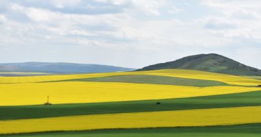 Stire din Economie : Peste 800.000 de cereri unice au fost depuse la APIA în Campania 2021