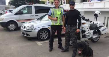 "Paza bună trece primejdia rea!" Campanie a Poliției Române de prevenire a furturilor - 2