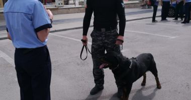 "Paza bună trece primejdia rea!" Campanie a Poliției Române de prevenire a furturilor - 3