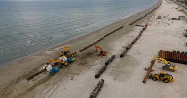 Stire din Social : Câmpii marine pe litoral, plantate în largul  Mării Negre