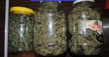 Stire din Eveniment : Galerie foto. Zeci de kilograme de canabis confiscate de ofițerii antidrog