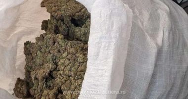 Stire din Eveniment : Un cetățean albanez prins pe aeroport cu 22 de kilograme de canabis