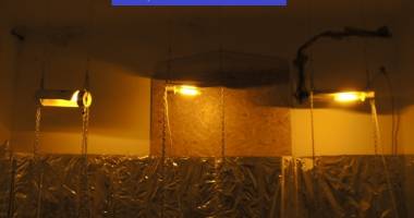 Galerie foto. Zeci de kilograme de canabis confiscate de ofițerii antidrog - 4