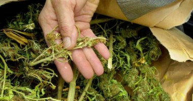 Stire din Eveniment : Încercau să introducă ilegal în țară 10 kilograme de droguri
