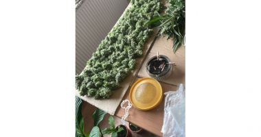 FOTO / Şi-a transformat casa în plantaţie de canabis! Poliţiştii au intrat pe fir - 3