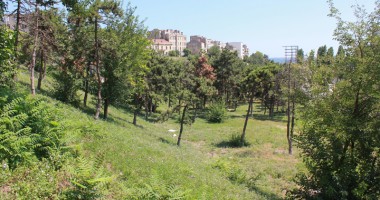 Galerie FOTO. Când va începe amenajarea și cum va arăta Parcul Carol - 11