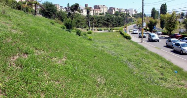 Galerie FOTO. Când va începe amenajarea și cum va arăta Parcul Carol - 8