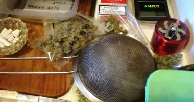 Tânăr din Constanța, arestat pentru că avea o cultură de cannabis în apartament - 2