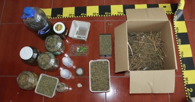 Trafic cu droguri și xanax, în centrul Constanței. 26 de indivizi, reținuți - 7