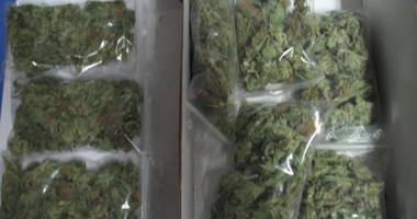 Cannabis adus din Spania, vândut drogaților din Constanța - 2