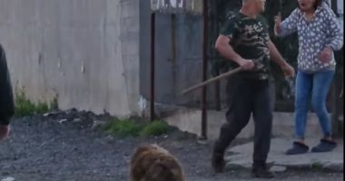 Un bărbat înarmat cu un topor a provocat groază în orașul Ovidiu! Iată ce au transmis autoritățile - 2