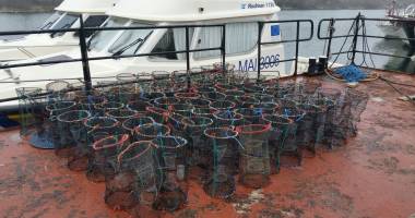Stire din Eveniment : Polițiștii de frontieră au eliberat "captura" prinsă în Mangalia
