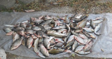 Braconieri în plasa Gărzii de Coastă