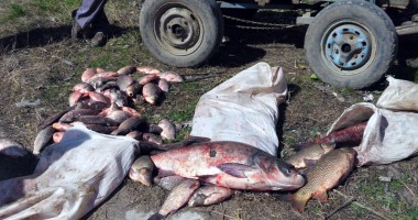 Stire din Eveniment : 100 de kilograme de caras, confiscat de polițiștii de frontieră