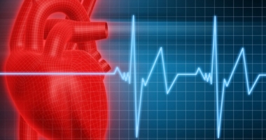 Bolile cardiovasculare "vedeta" internetului